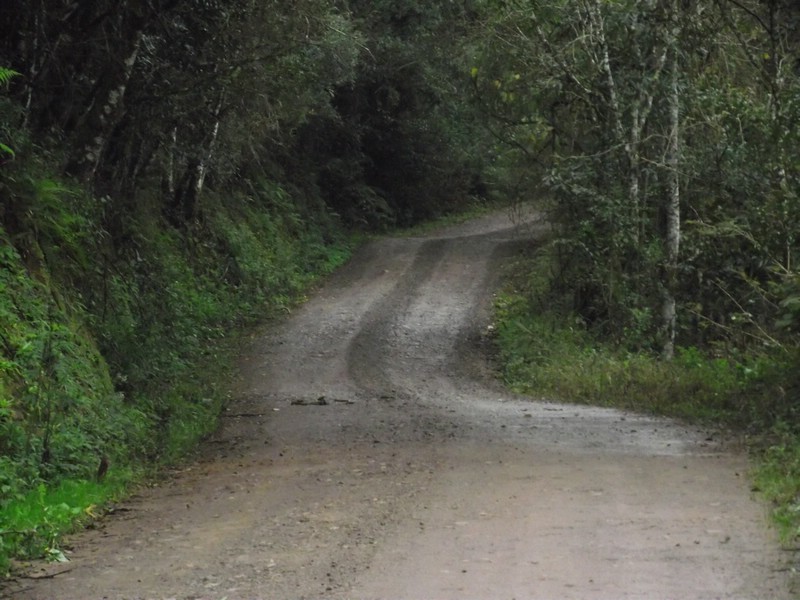 DSCF8312.JPG