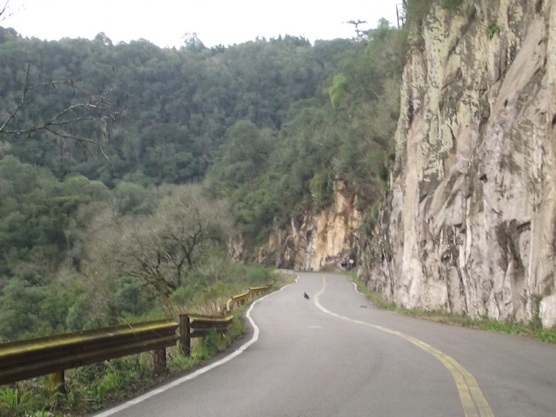DSCF8320.JPG