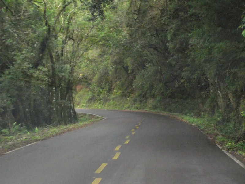 DSCF8328.JPG