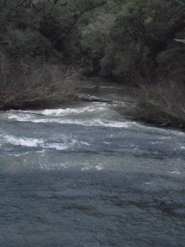 DSCF8342.JPG
