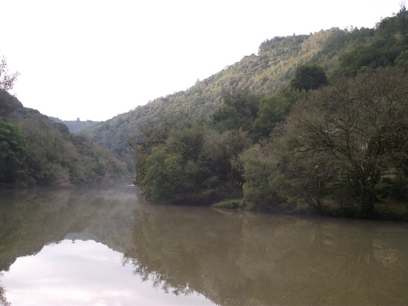DSCF8344.JPG