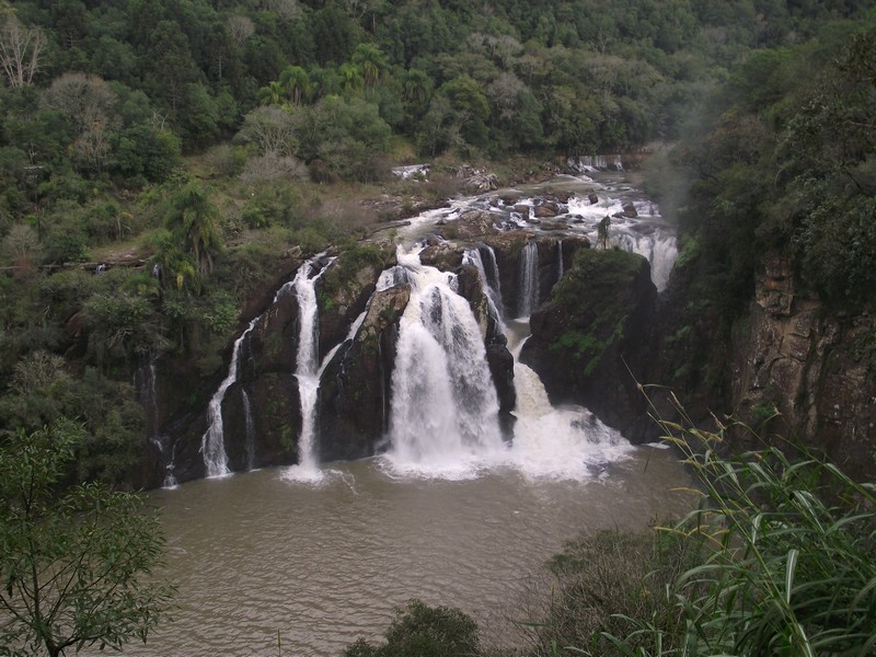 DSCF8348.JPG
