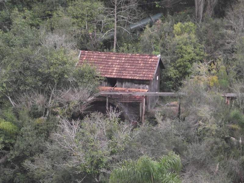 DSCF8352.JPG