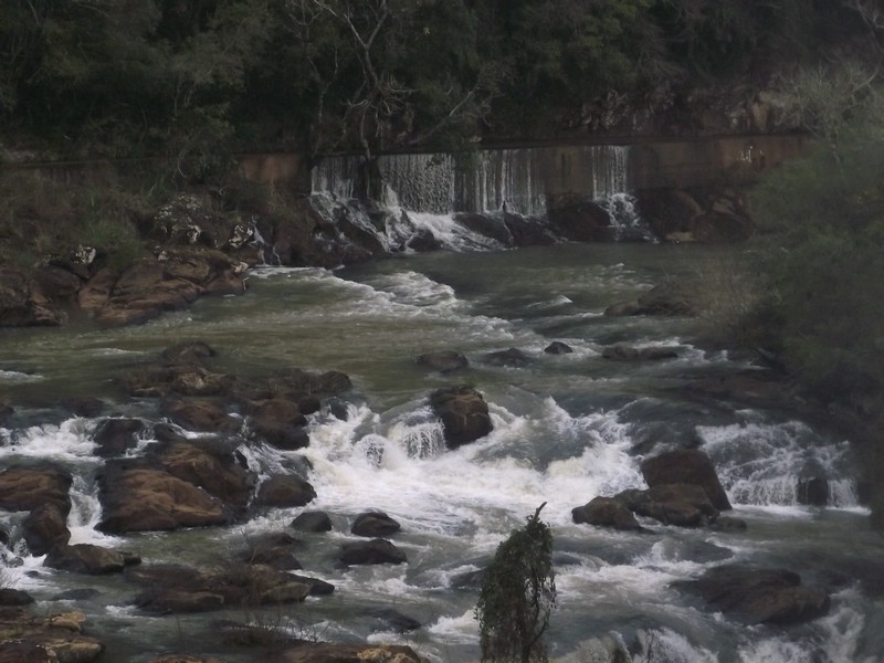 DSCF8353.JPG