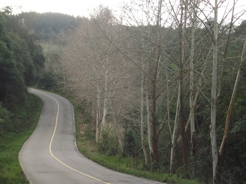 DSCF8359.JPG