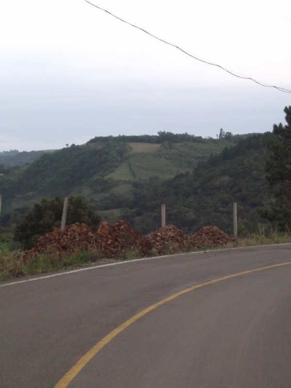 DSCF8379.JPG