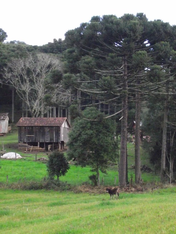 DSCF8389.JPG