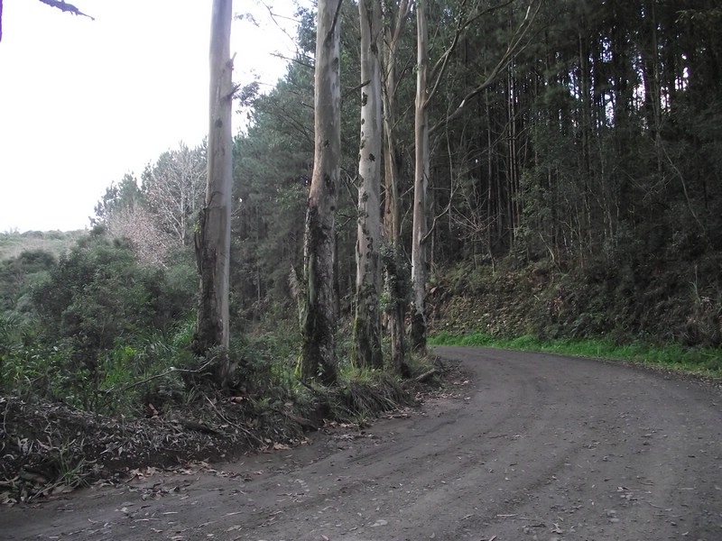 DSCF8397.JPG