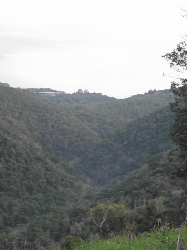 DSCF8409.JPG