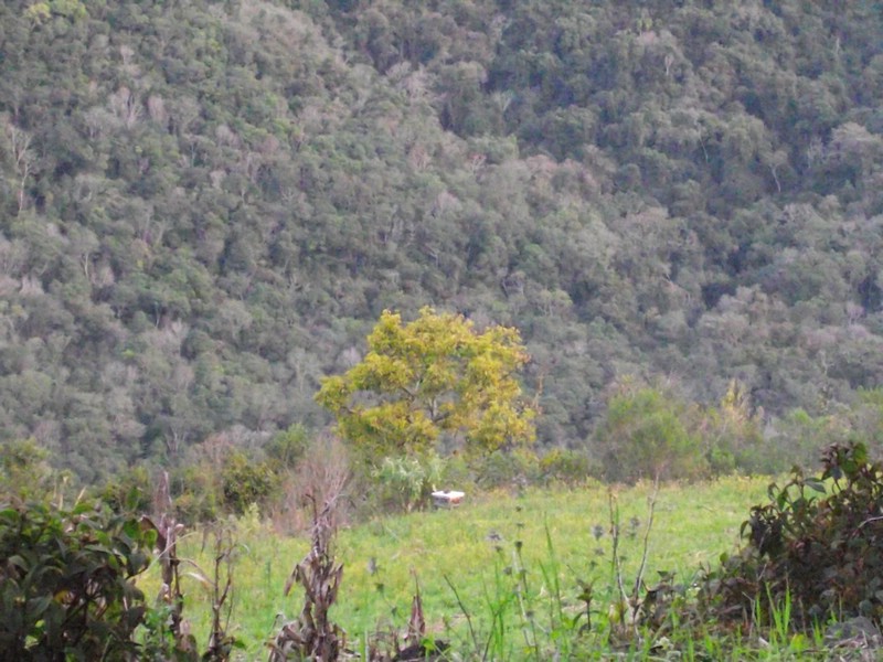 DSCF8410.JPG