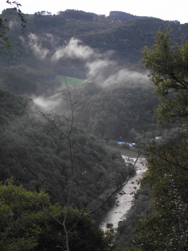 DSCF8413.JPG