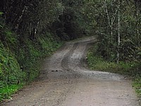 DSCF8312.JPG