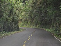 DSCF8328.JPG