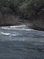 DSCF8342.JPG
