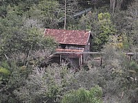 DSCF8352.JPG