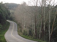 DSCF8359.JPG