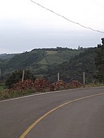 DSCF8379.JPG
