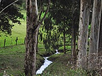 DSCF8384.JPG