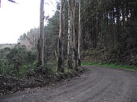 DSCF8397.JPG