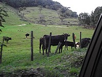 DSCF8402.JPG