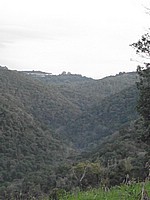 DSCF8409.JPG