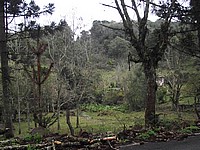 DSCF8426.JPG