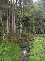 DSCF8428.JPG