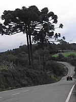 DSCF8447.JPG