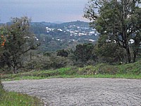 DSCF8455.JPG